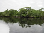 25 miles of river deep into the Belizean jungle