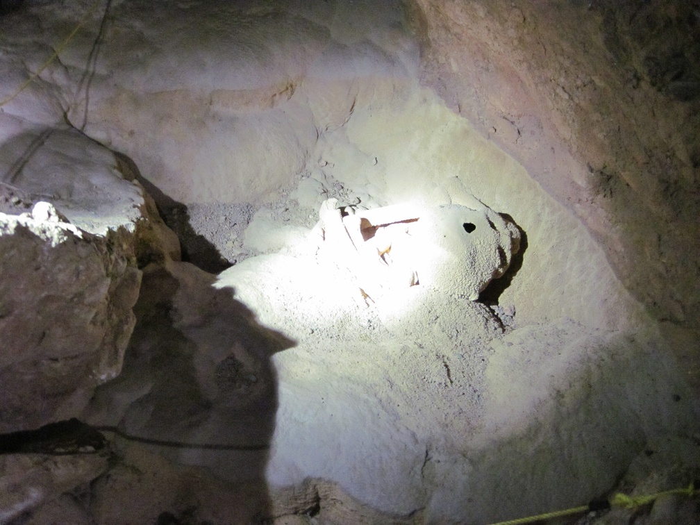 Human remains