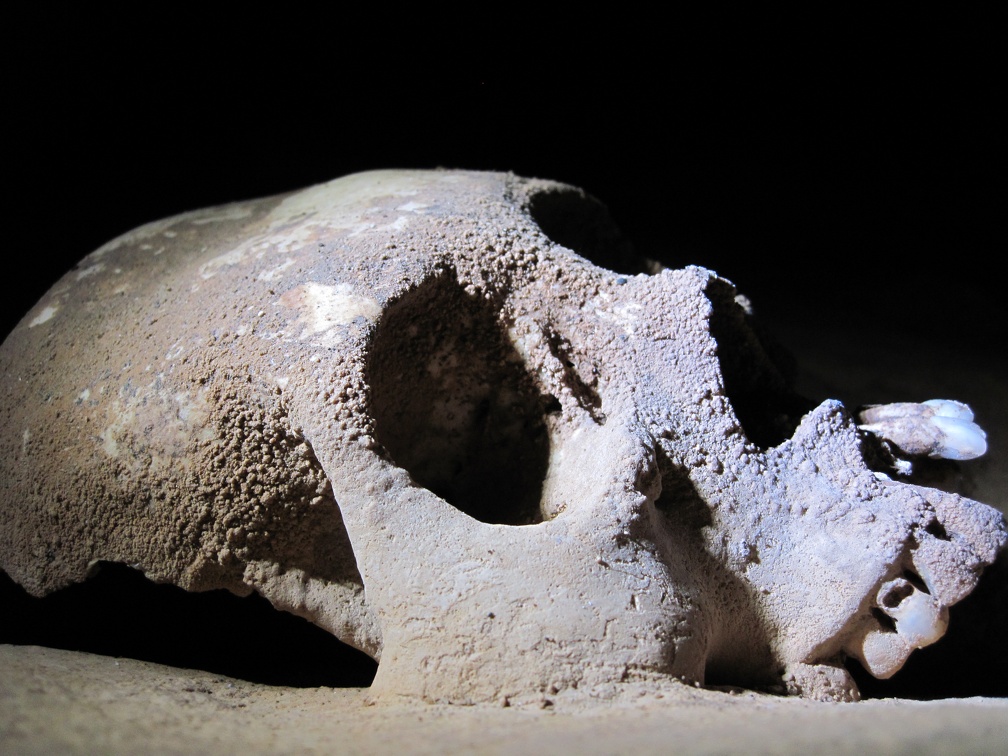 Human Skull - same one pictured earlier - we were coming out of the cave