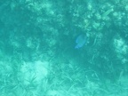 IMG_0491.JPG