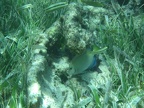 IMG_0388.JPG