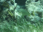 IMG_0390.JPG
