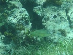 IMG_0391.JPG