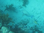 IMG_0476.JPG