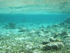 IMG_0392.JPG