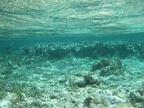 IMG_0393.JPG