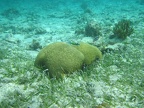 IMG_0410.JPG