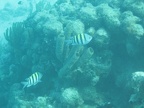 IMG_0470.JPG