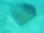 IMG_0456.JPG