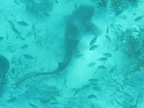 IMG_0469.JPG