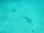 IMG_0482.JPG
