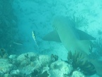 IMG_0484.JPG