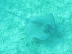 IMG_0488.JPG