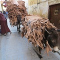 Fez - donkeys are a common sight in the souks