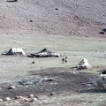 Nomadic Berber tents