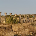 Volubilis - Roman ruins