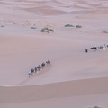 Erg Chebbi - camel caravan