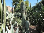 Marrakech - Majorelle Gardens