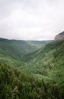 Rayado Canyon