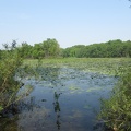 Scouters Pond