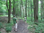 Hiking in Little Carpathian Mountains - outside Modra, Slovakia