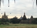 IMG 3780c