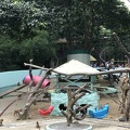 IMG 3736